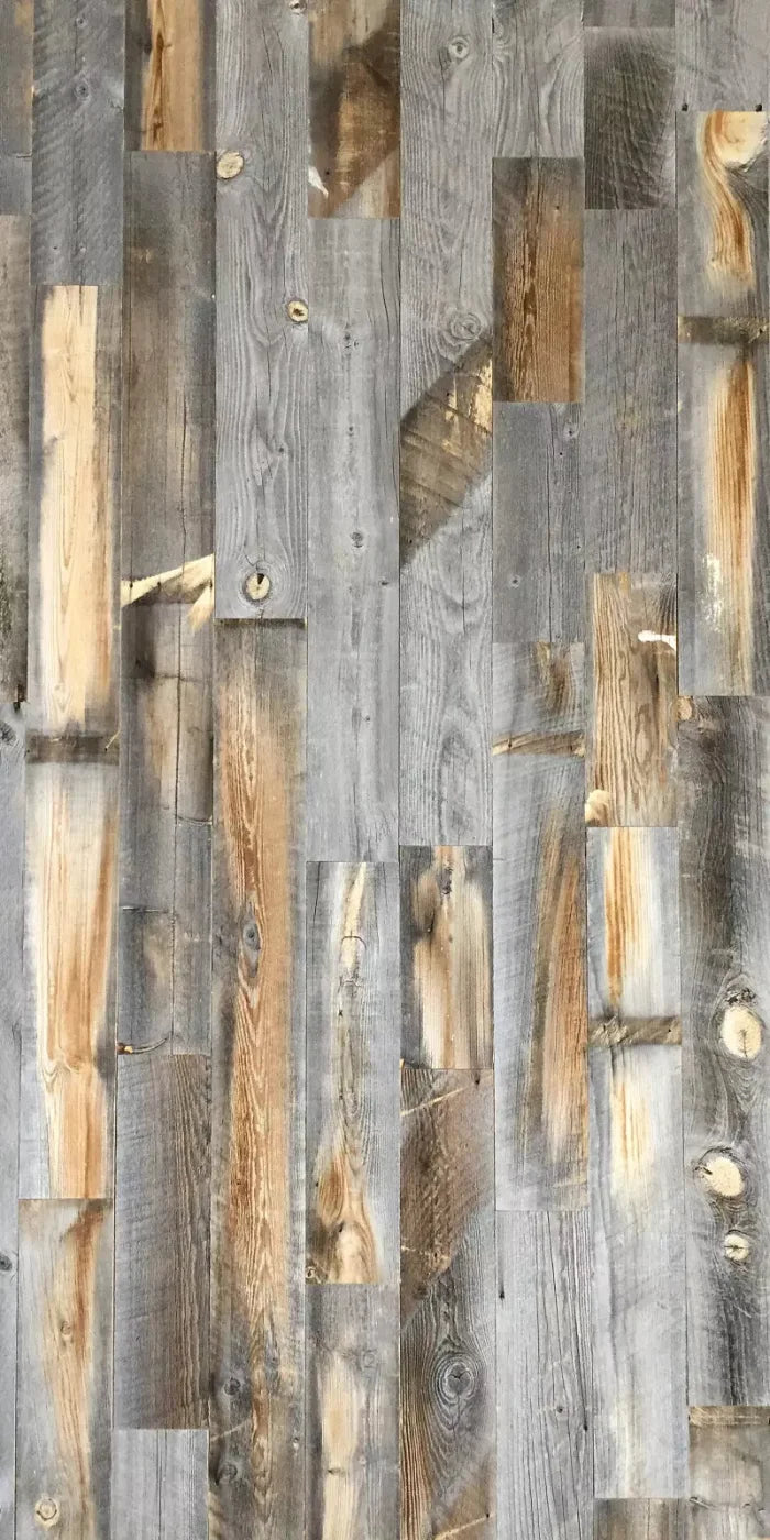 Knoxville 10X20 Ultracloth ( 120 X 240 Inch ) Backdrop