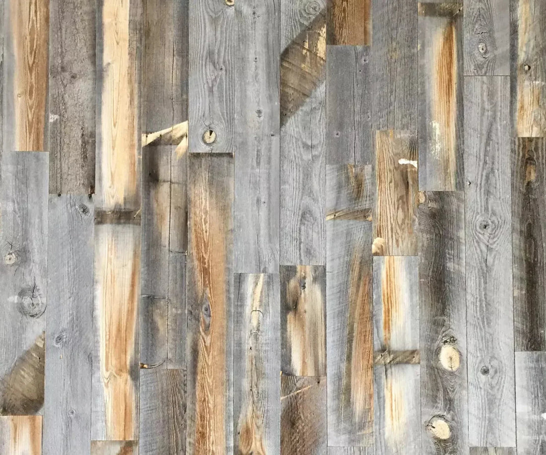 Knoxville 5X42 Fleece ( 60 X 50 Inch ) Backdrop