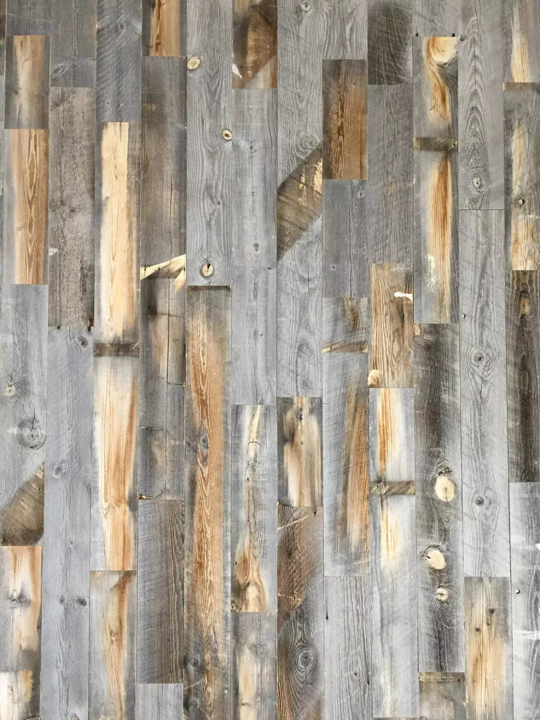 Knoxville 5X7 Ultracloth ( 60 X 84 Inch ) Backdrop