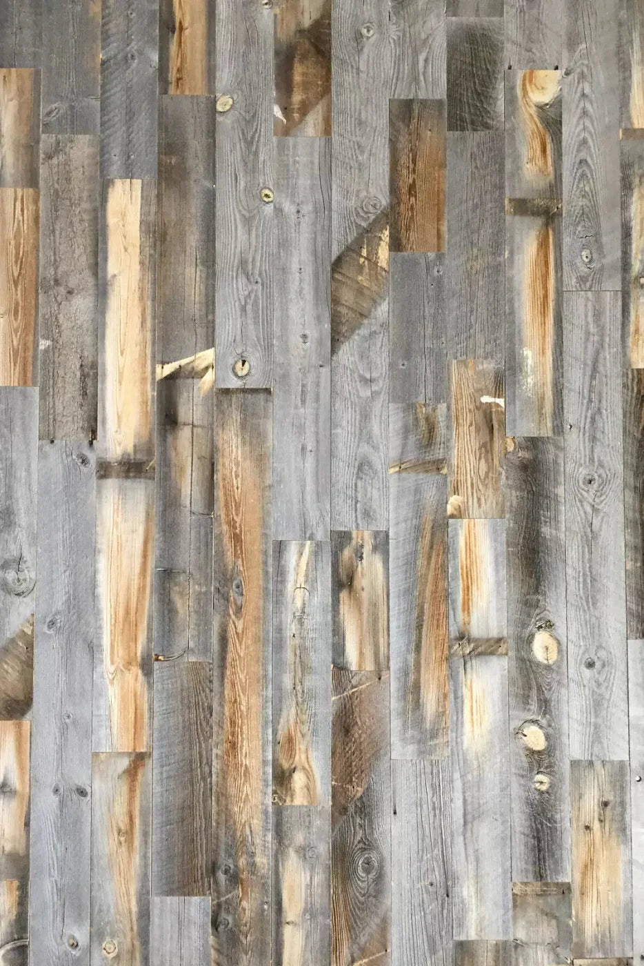 Knoxville 5X8 Ultracloth ( 60 X 96 Inch ) Backdrop