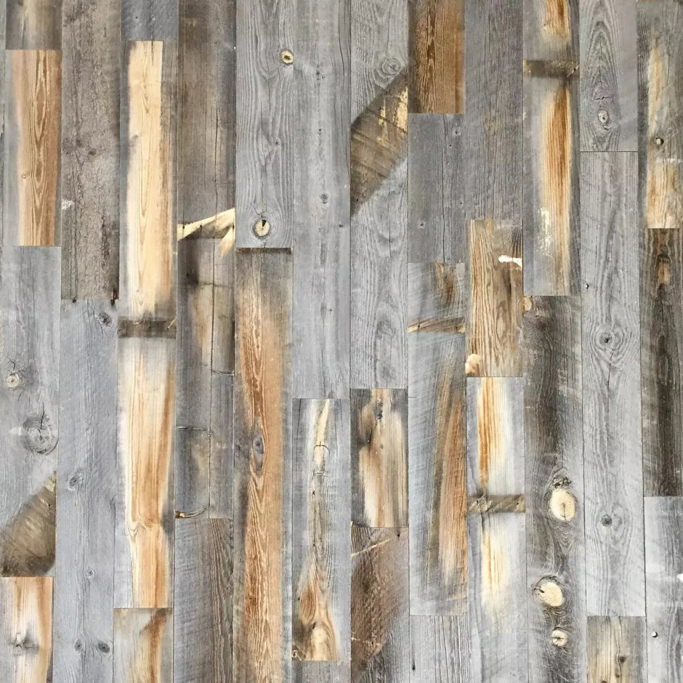 Knoxville 8X8 Fleece ( 96 X Inch ) Backdrop