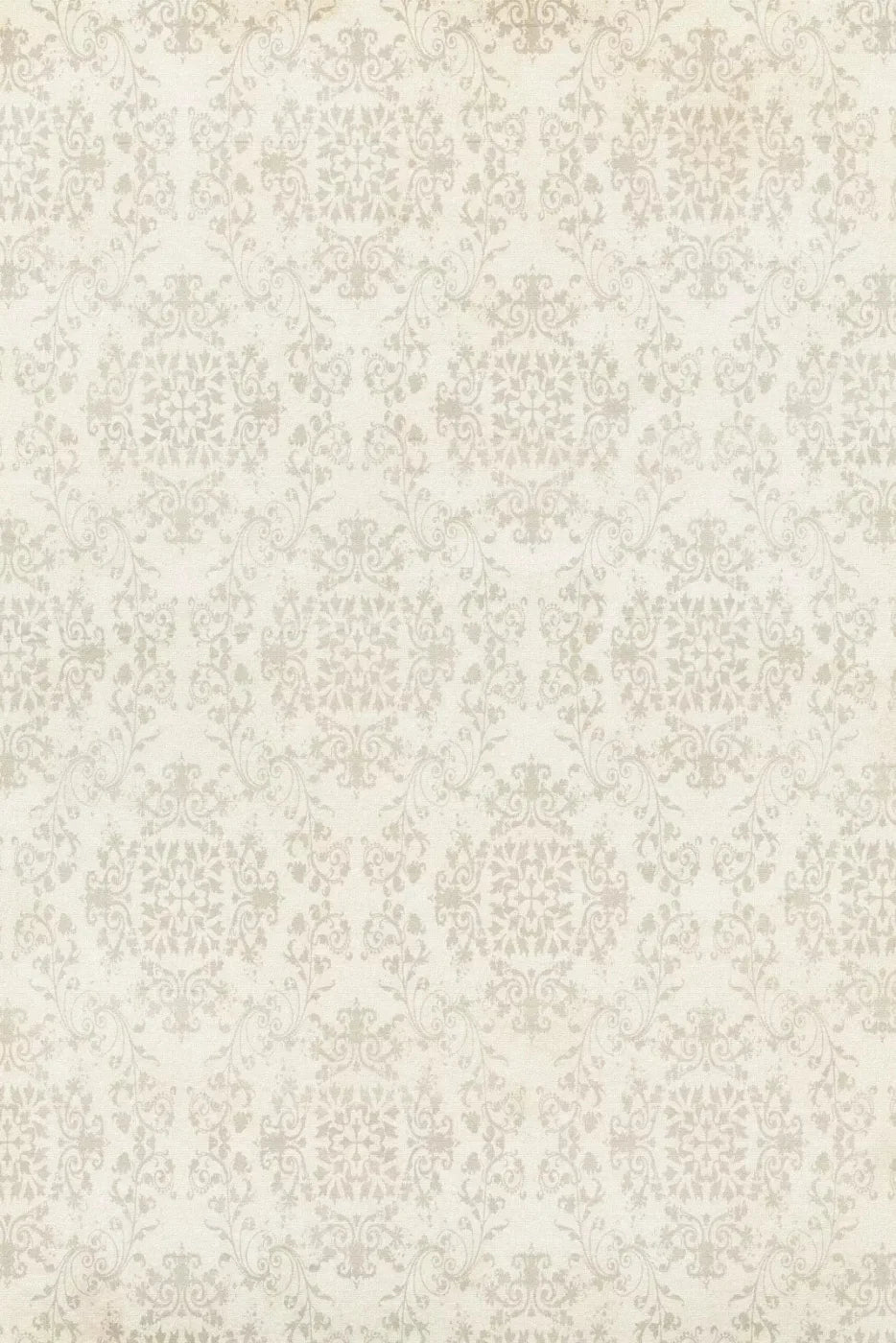 Lacie Backdrop