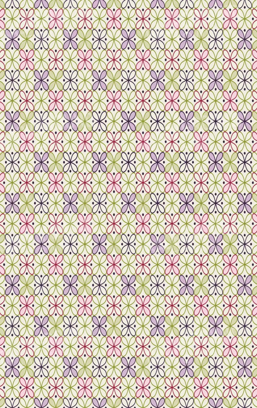 Ladia 10X16 Ultracloth ( 120 X 192 Inch ) Backdrop