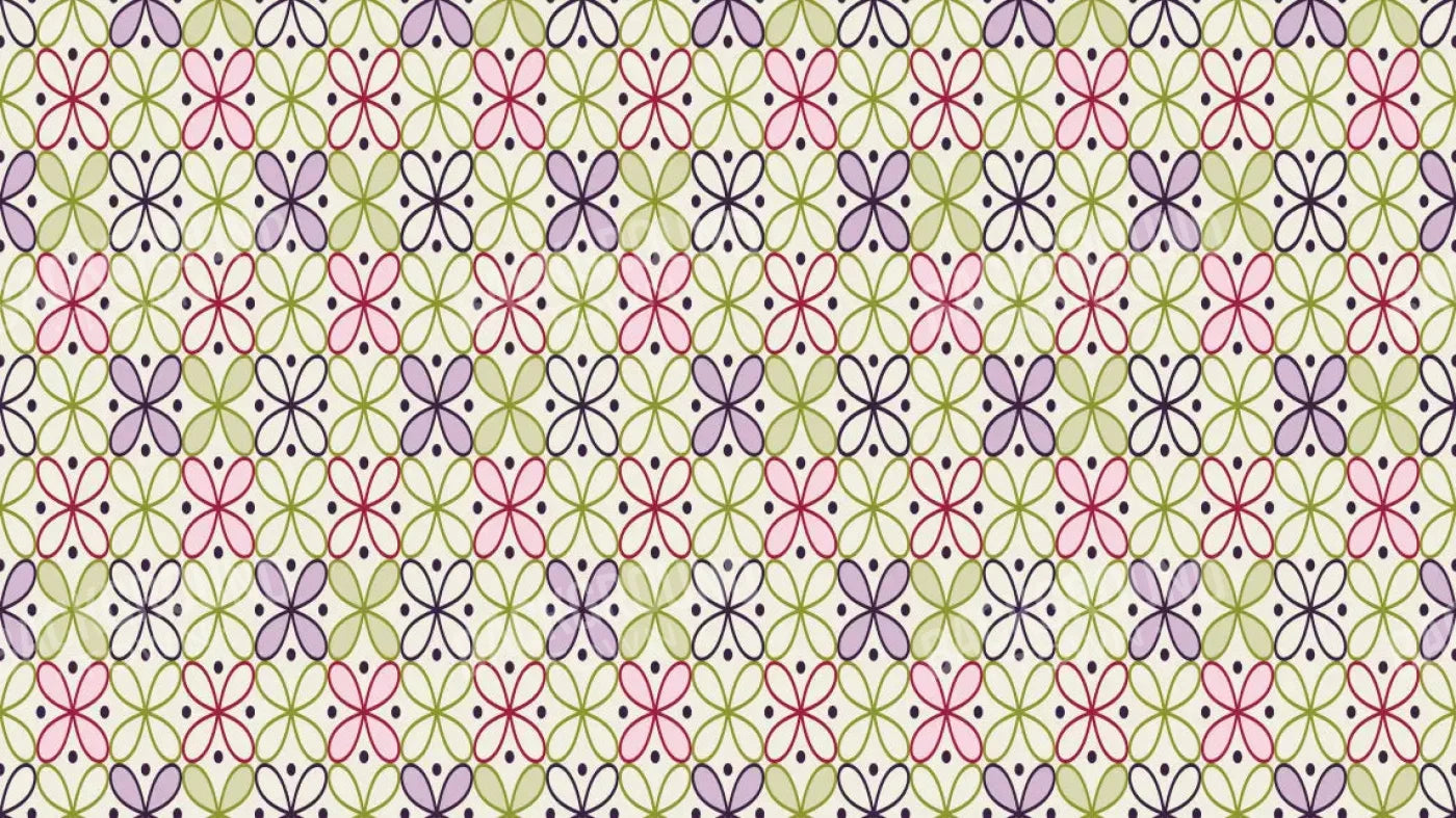 Ladia 14X8 Ultracloth ( 168 X 96 Inch ) Backdrop