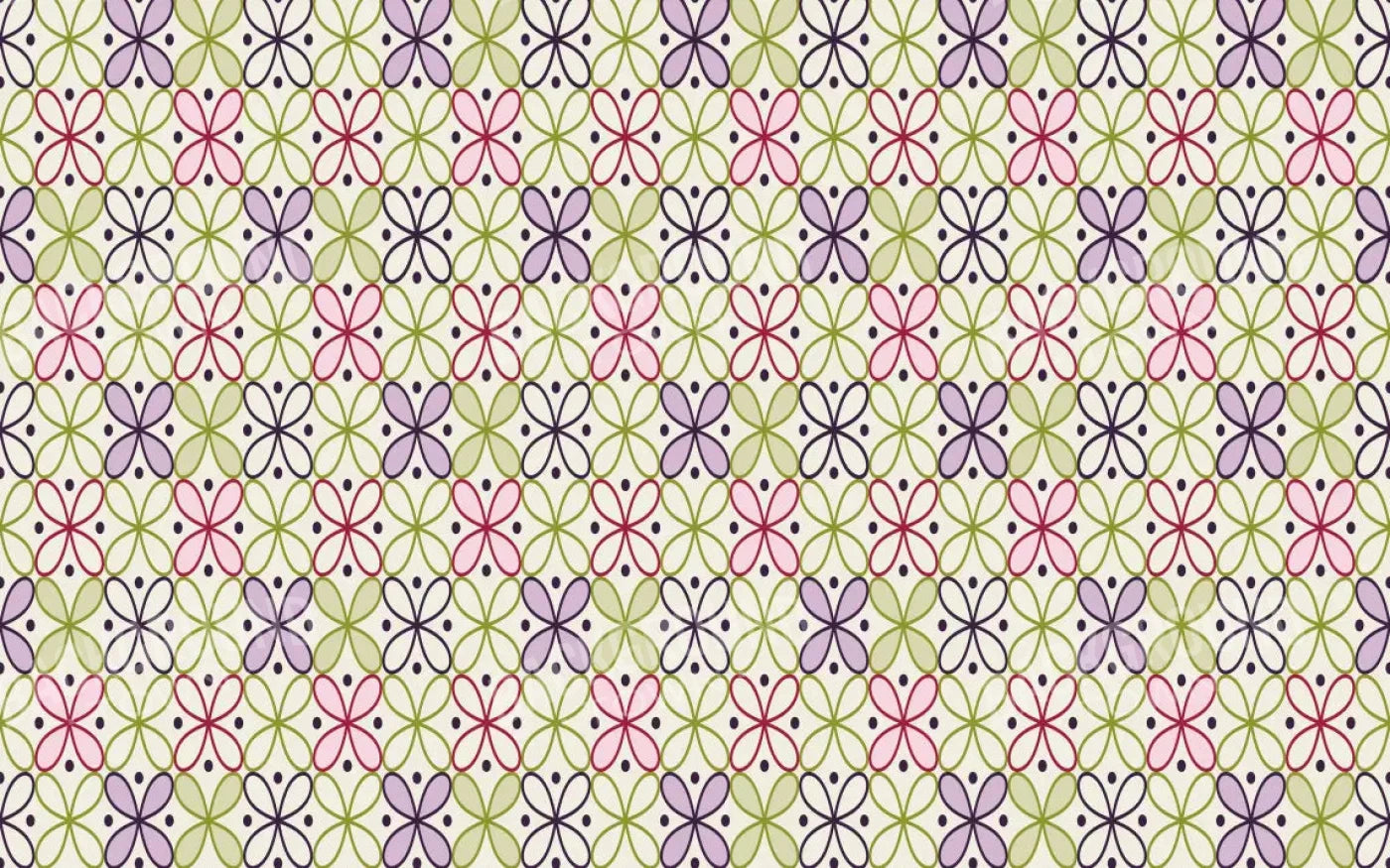 Ladia 14X9 Ultracloth ( 168 X 108 Inch ) Backdrop
