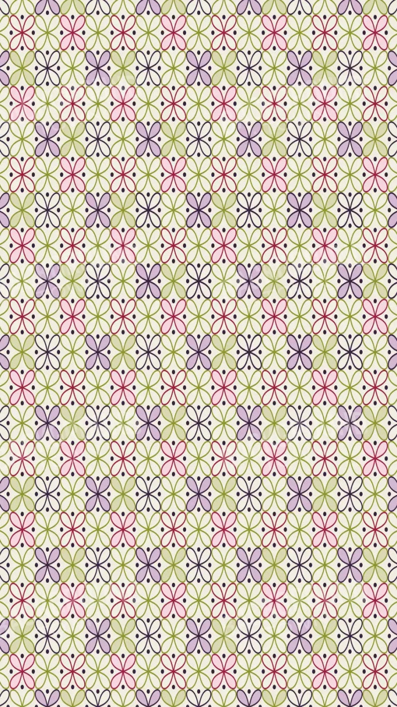 Ladia 8X14 Ultracloth ( 96 X 168 Inch ) Backdrop