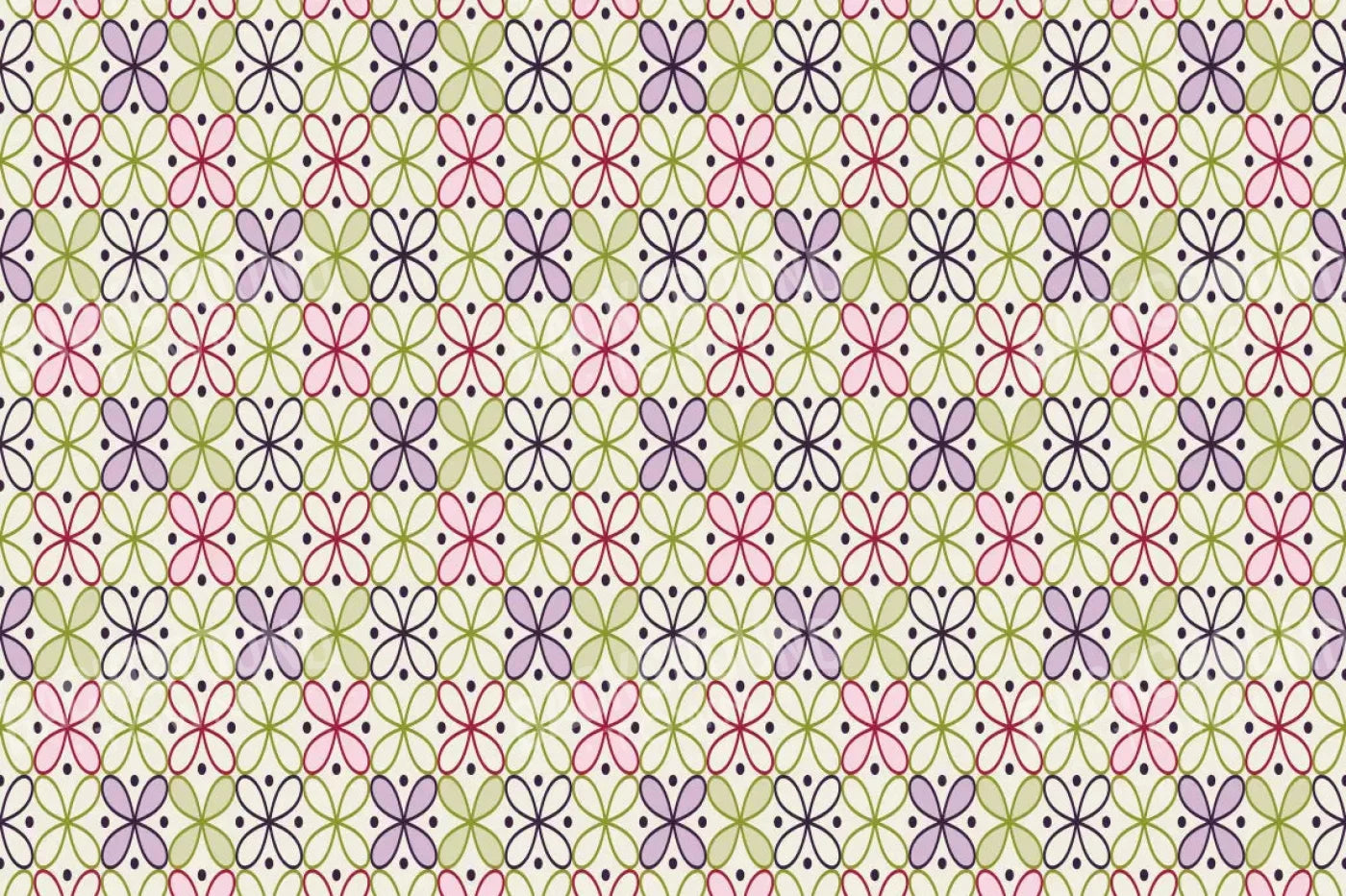 Ladia 8X5 Ultracloth ( 96 X 60 Inch ) Backdrop