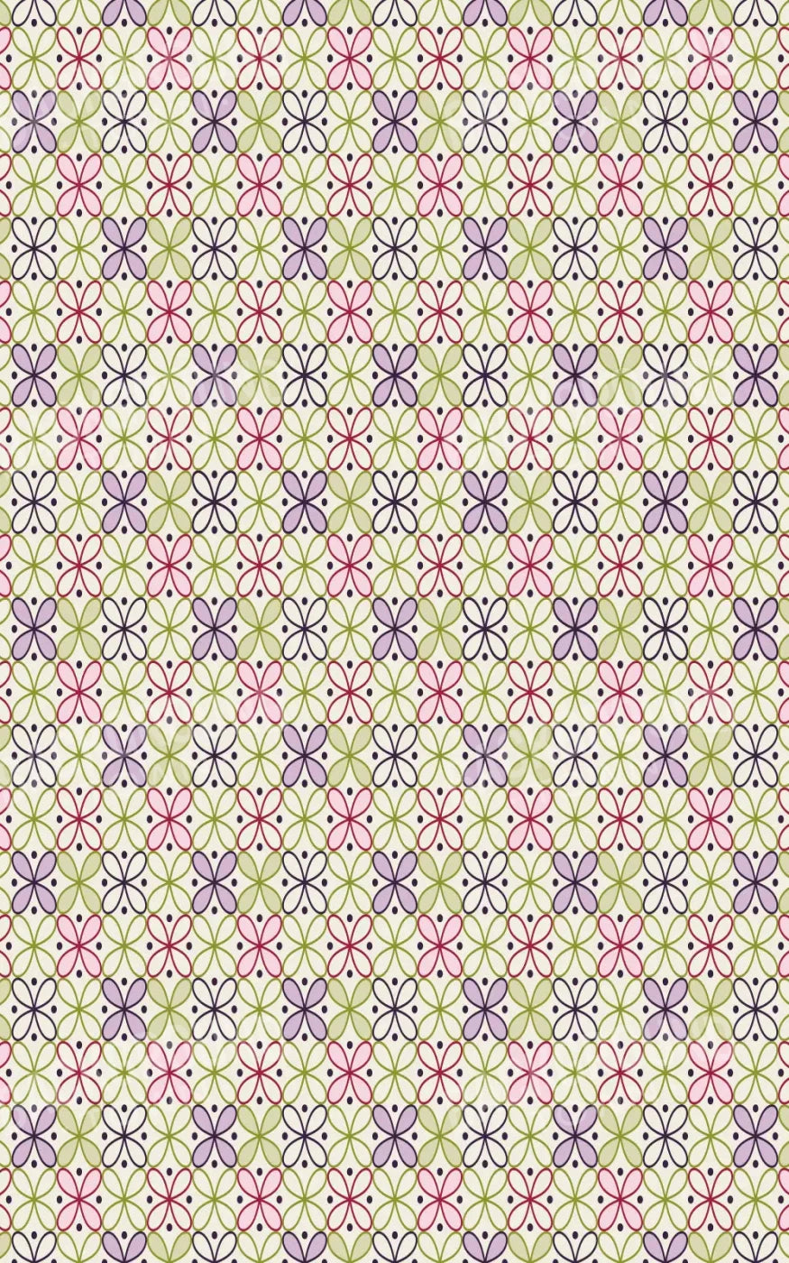 Ladia 9X14 Ultracloth ( 108 X 168 Inch ) Backdrop