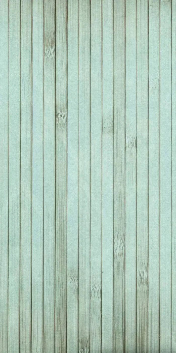 Lakeside 10X20 Ultracloth ( 120 X 240 Inch ) Backdrop