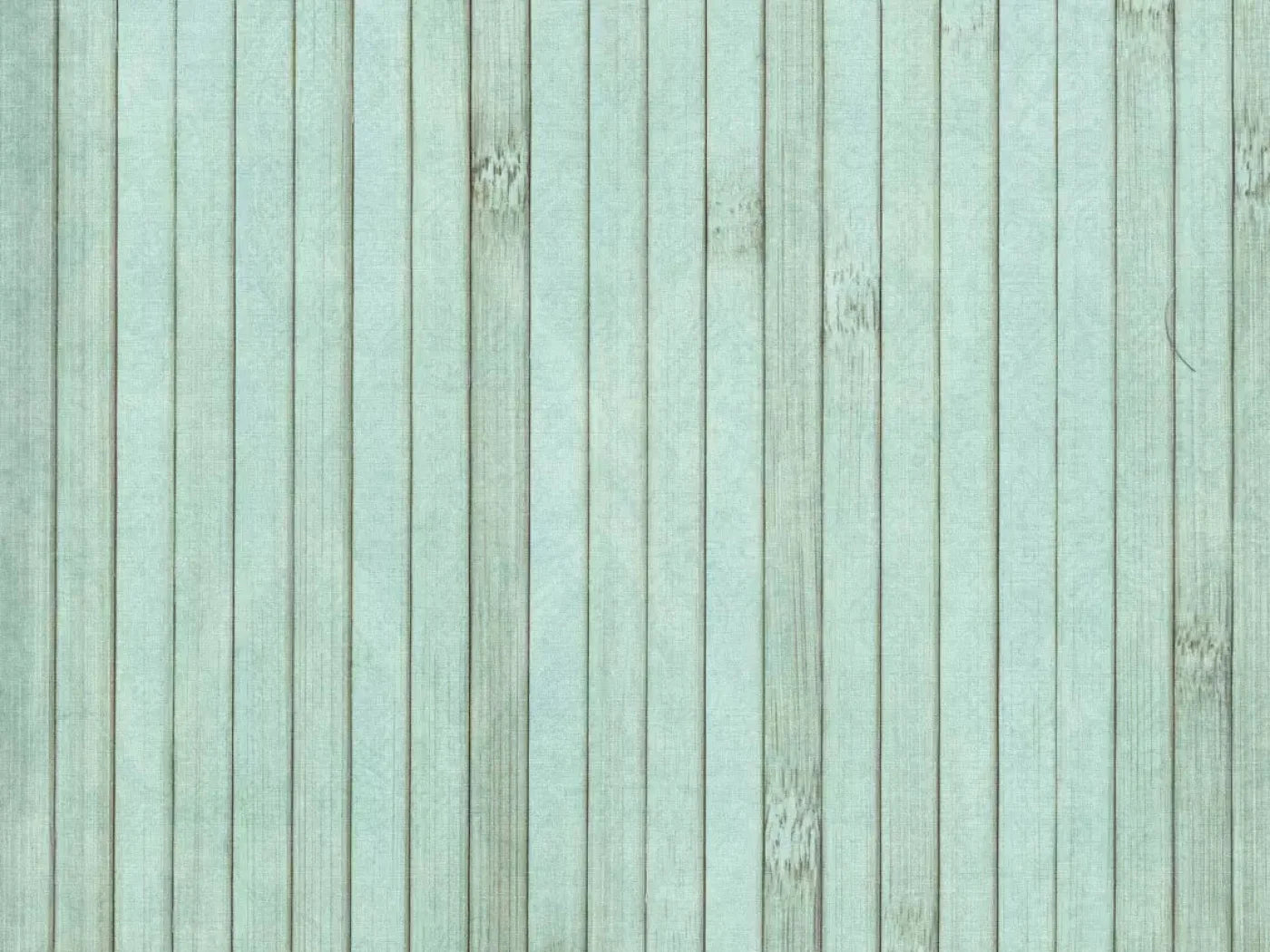 Lakeside 10X8 Fleece ( 120 X 96 Inch ) Backdrop