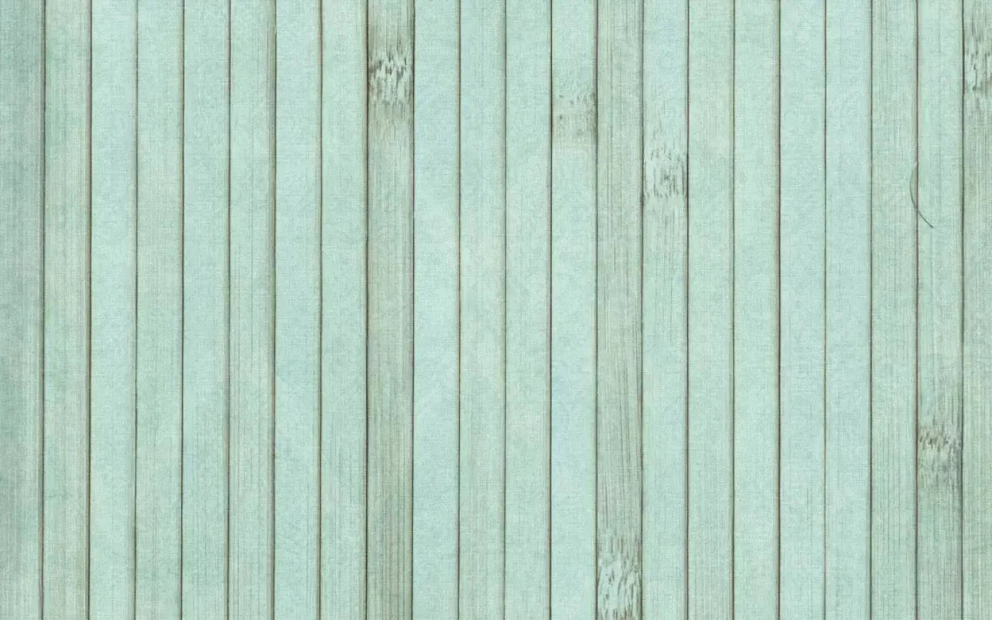 Lakeside 14X9 Ultracloth ( 168 X 108 Inch ) Backdrop