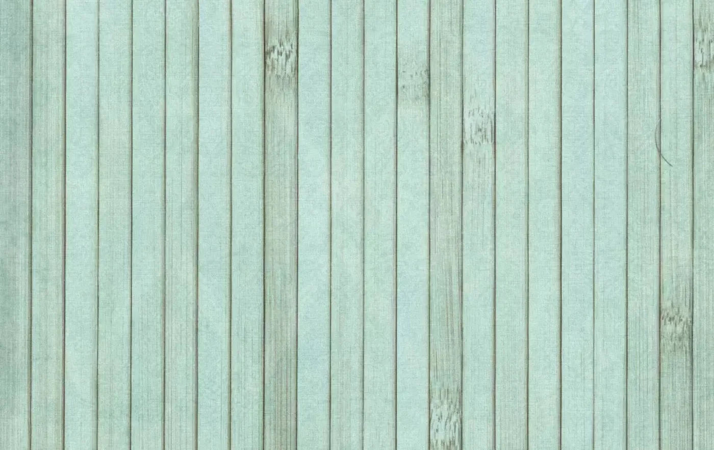 Lakeside 16X10 Ultracloth ( 192 X 120 Inch ) Backdrop
