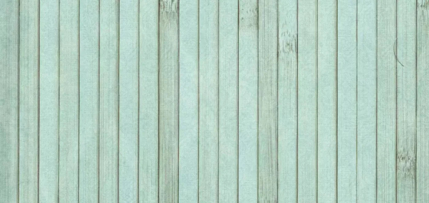 Lakeside 16X8 Ultracloth ( 192 X 96 Inch ) Backdrop