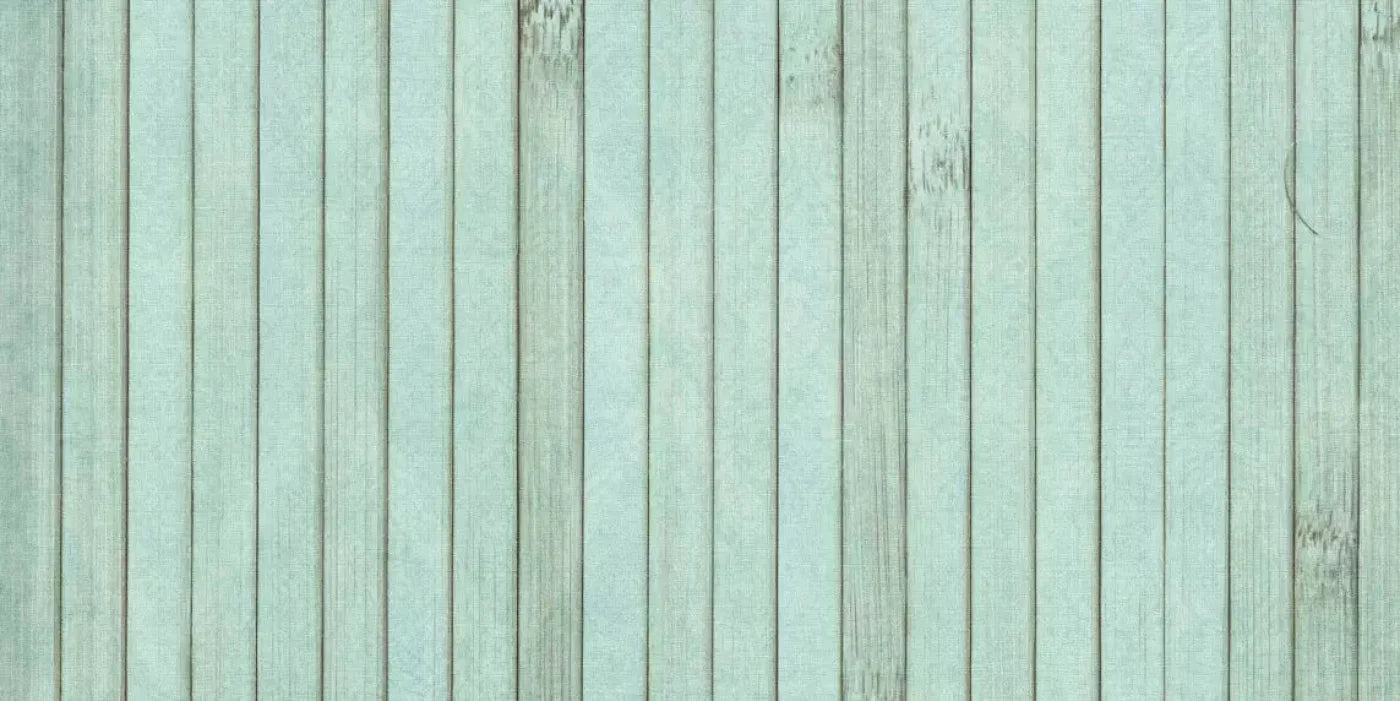 Lakeside 20X10 Ultracloth ( 240 X 120 Inch ) Backdrop