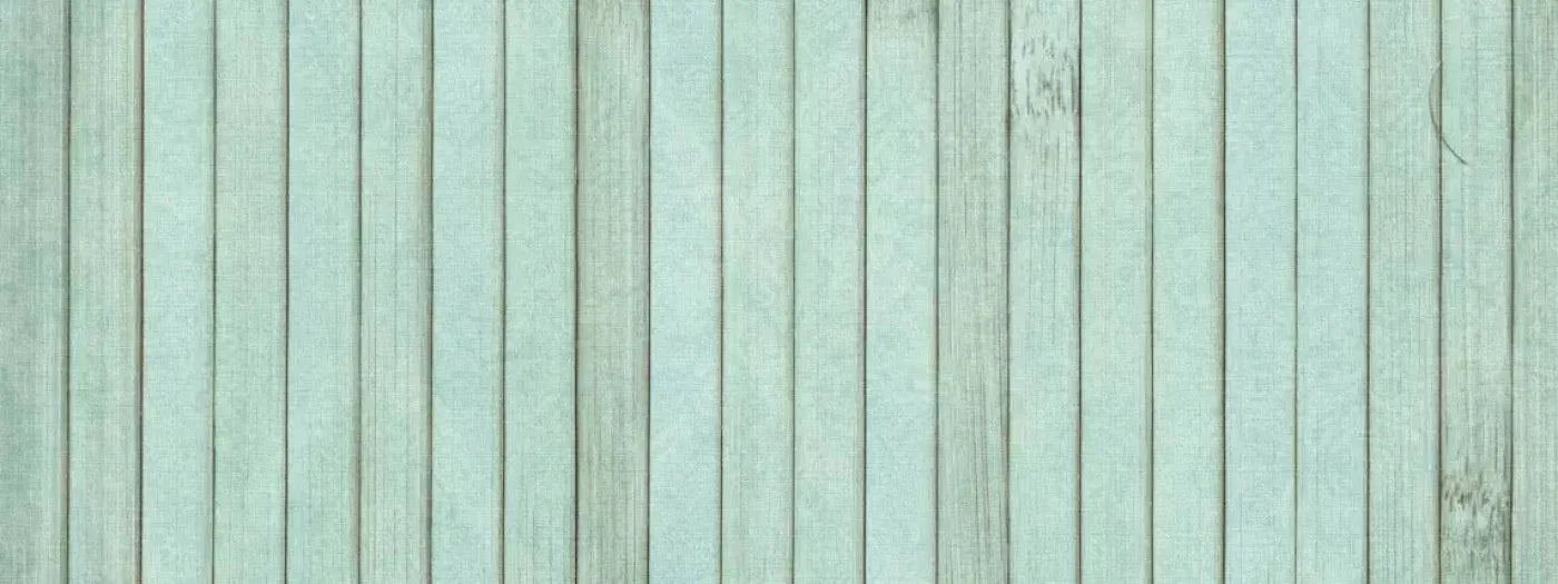 Lakeside 20X8 Ultracloth ( 240 X 96 Inch ) Backdrop