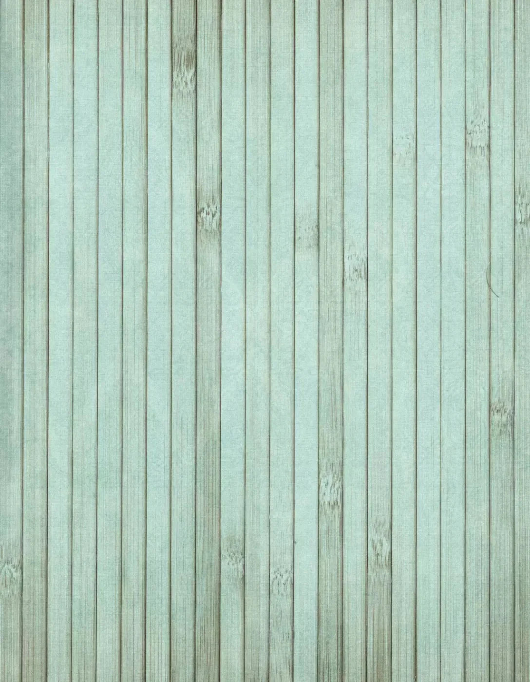 Lakeside 6X8 Fleece ( 72 X 96 Inch ) Backdrop
