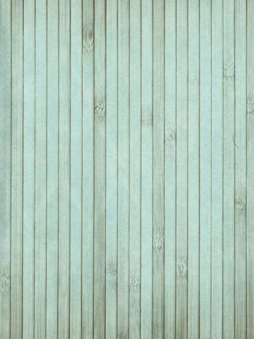 Lakeside 8X10 Fleece ( 96 X 120 Inch ) Backdrop