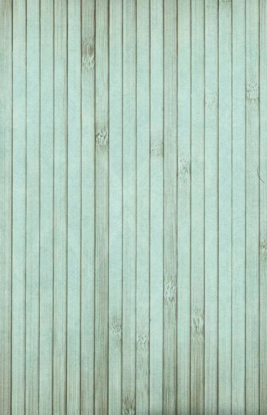 Lakeside 8X12 Ultracloth ( 96 X 144 Inch ) Backdrop