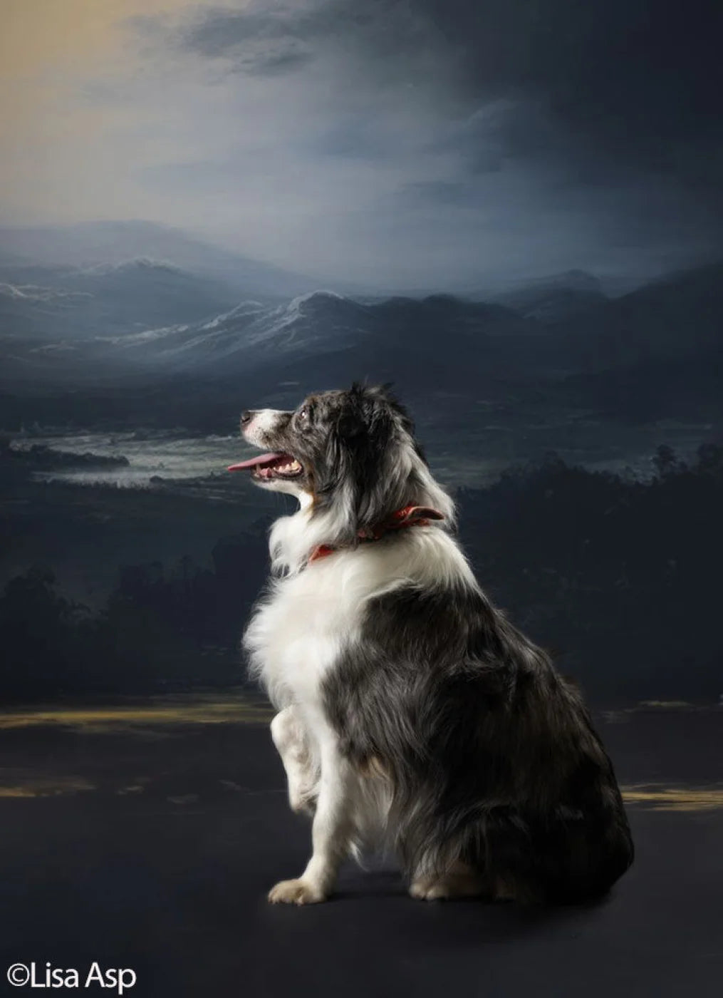 Landscape I Backdrop