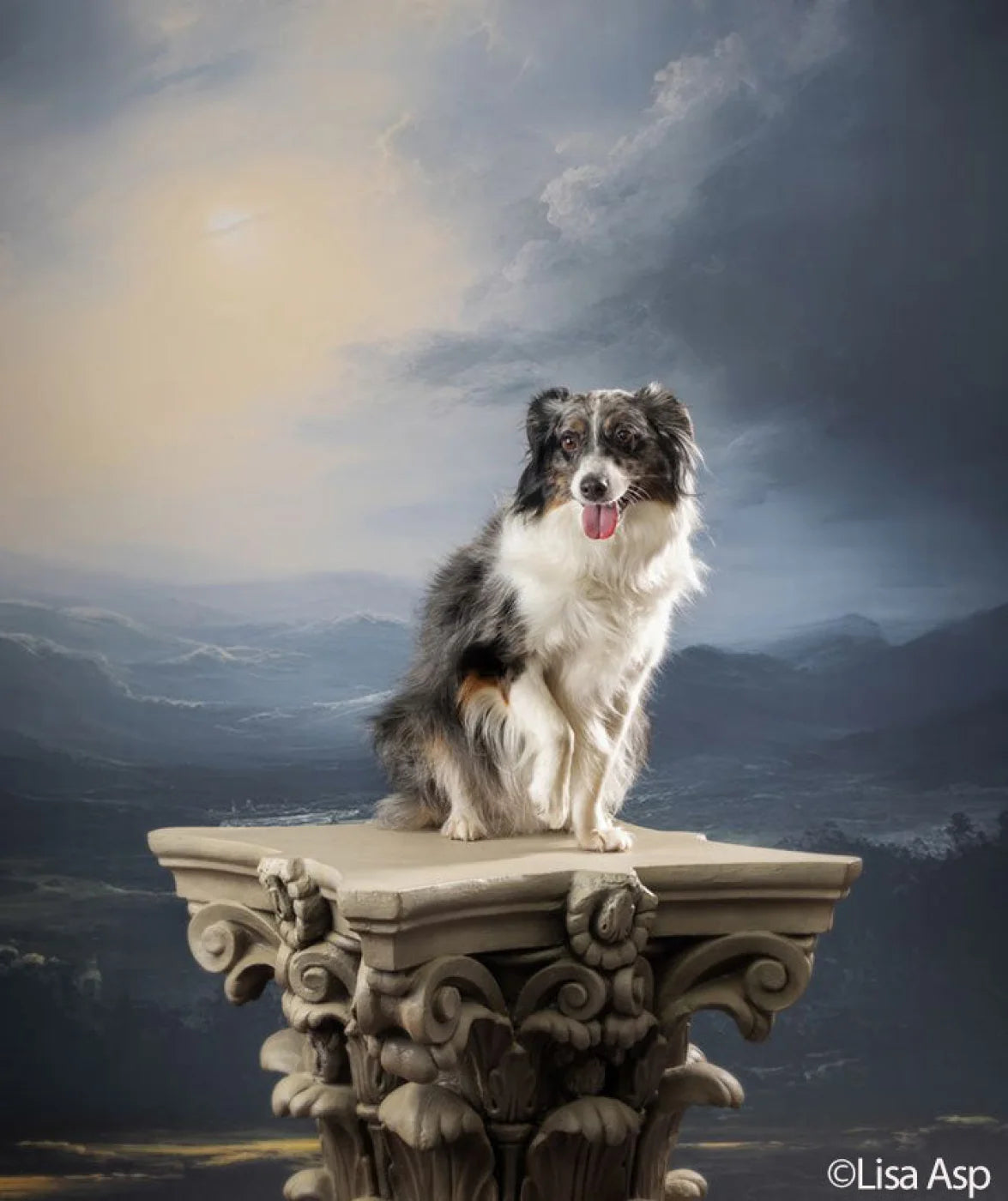 Landscape I Backdrop