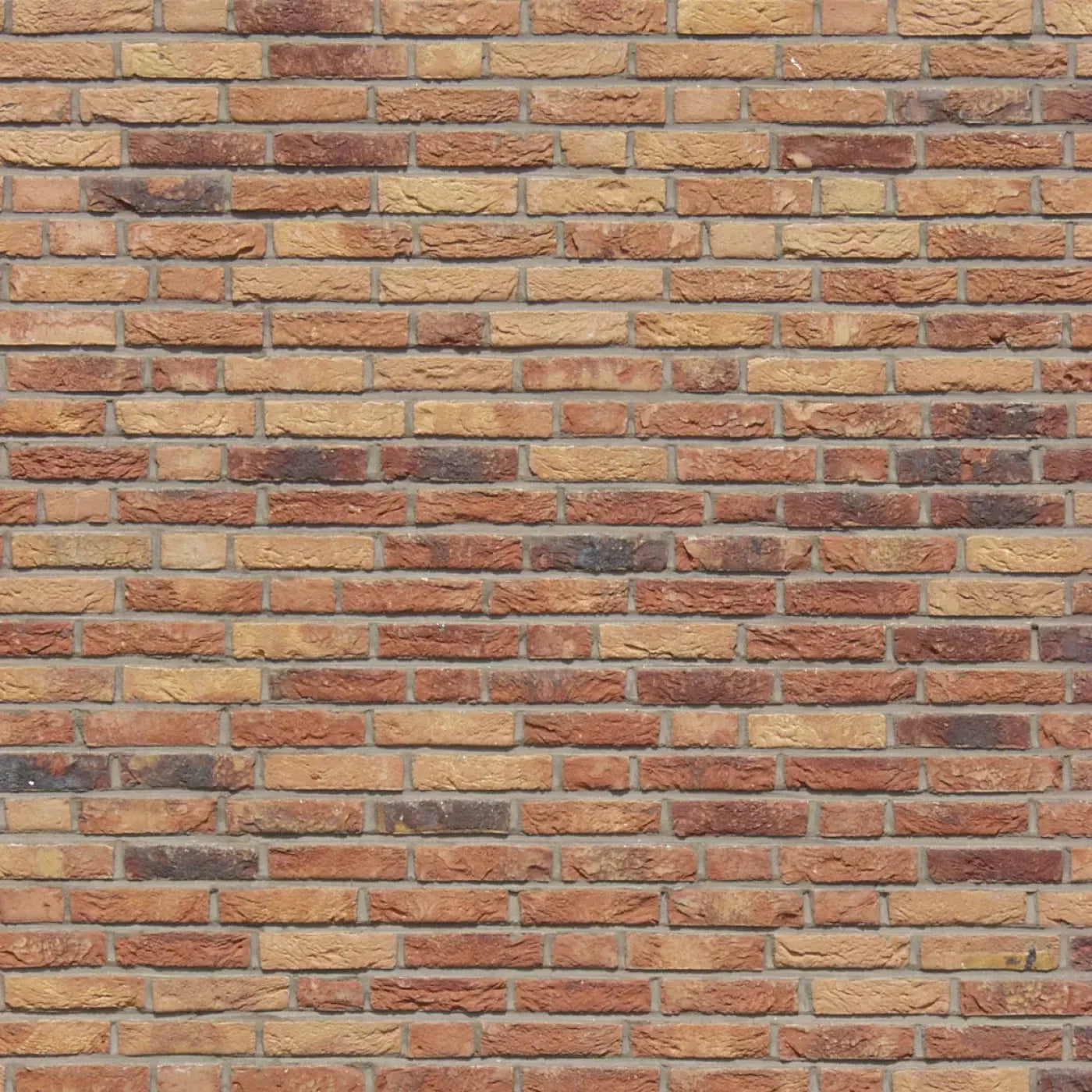 Lane Backdrop