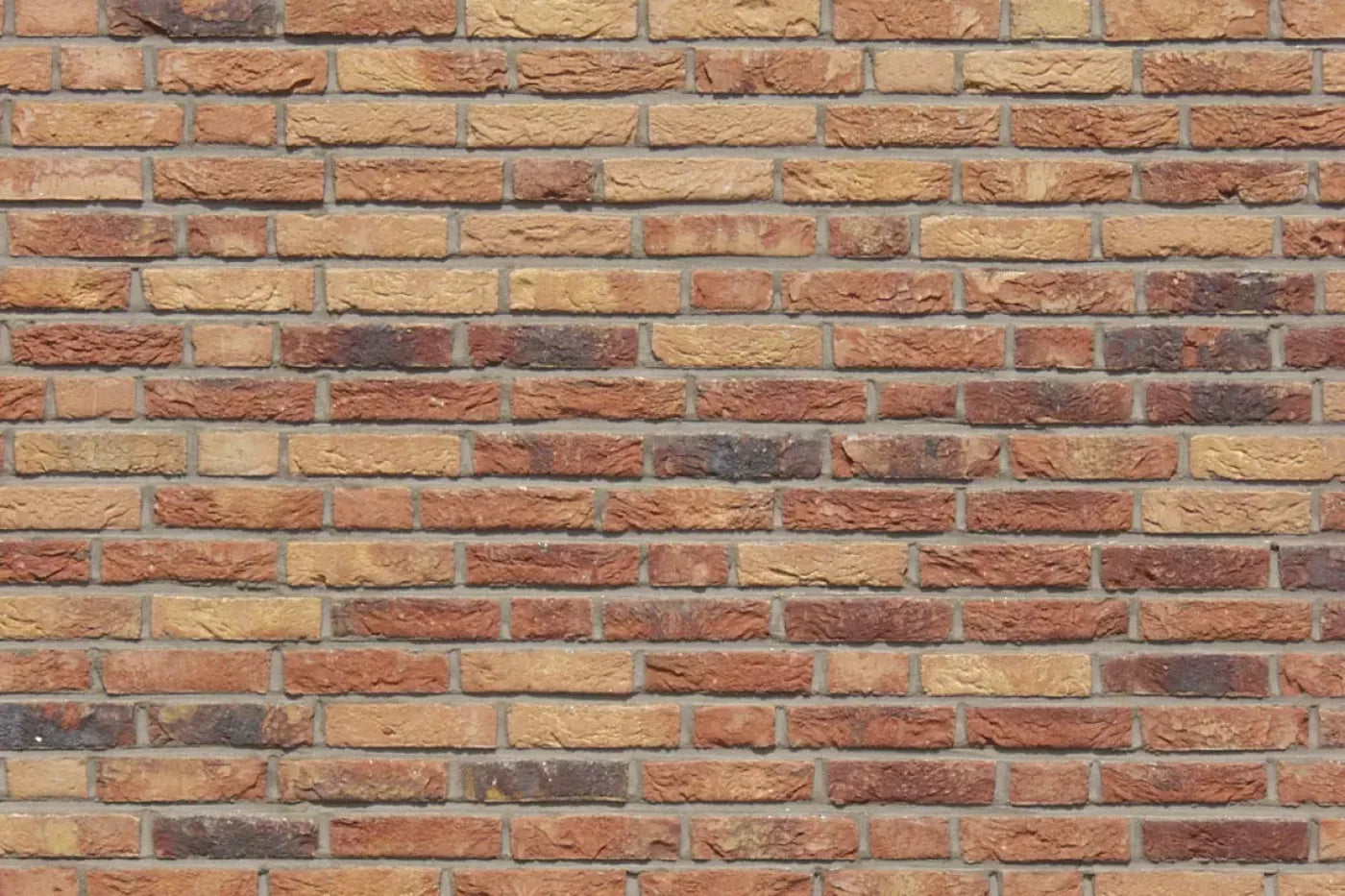 Lane Backdrop