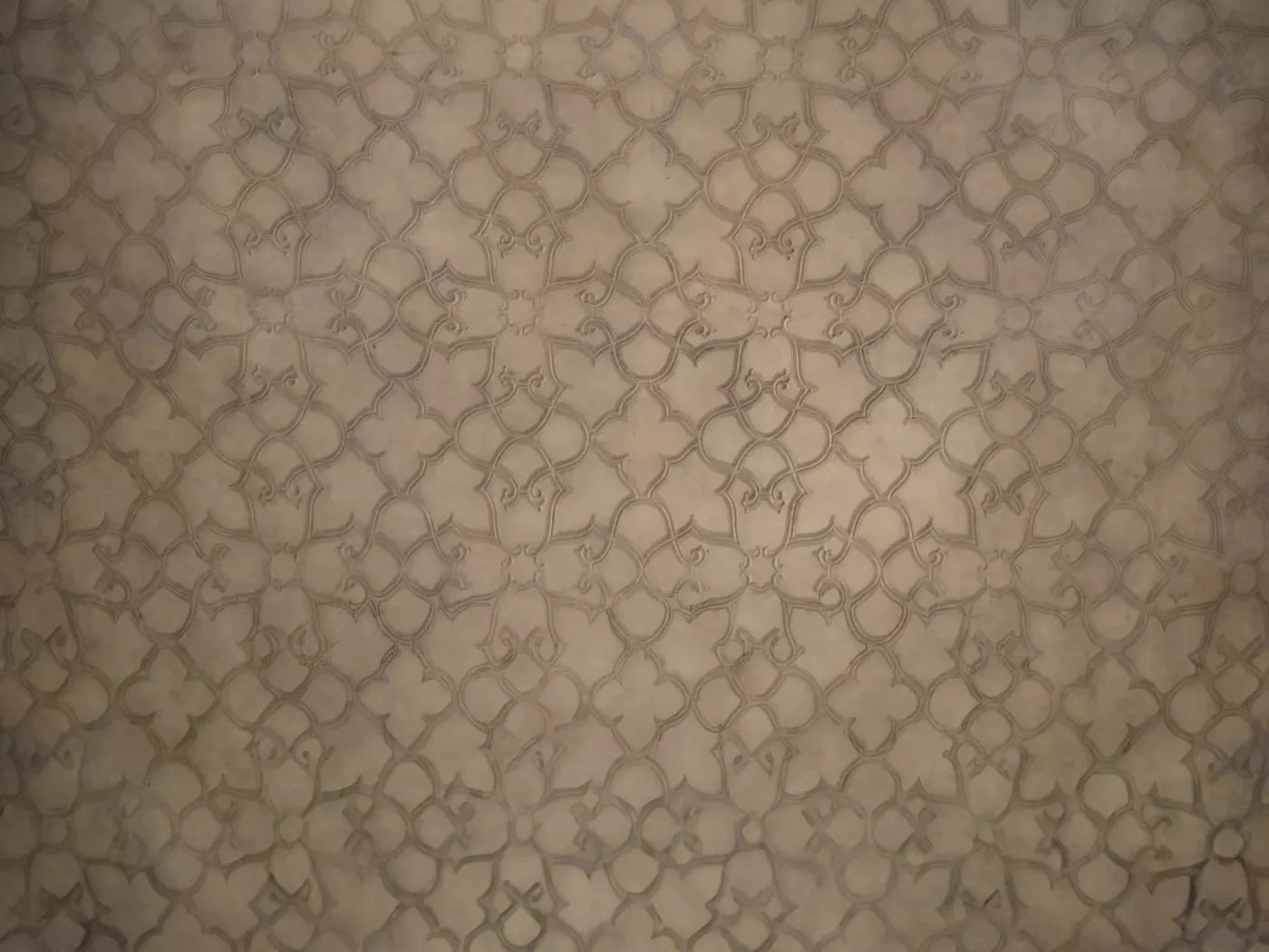 Lattice 10X8 Fleece ( 120 X 96 Inch ) Backdrop