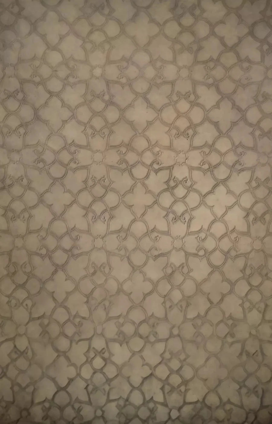 Lattice 8X12 Ultracloth ( 96 X 144 Inch ) Backdrop