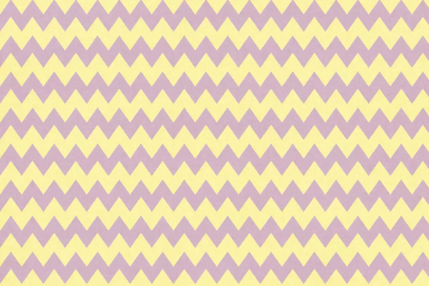 Lauren Backdrop