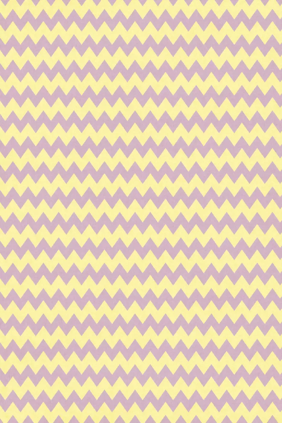 Lauren Backdrop