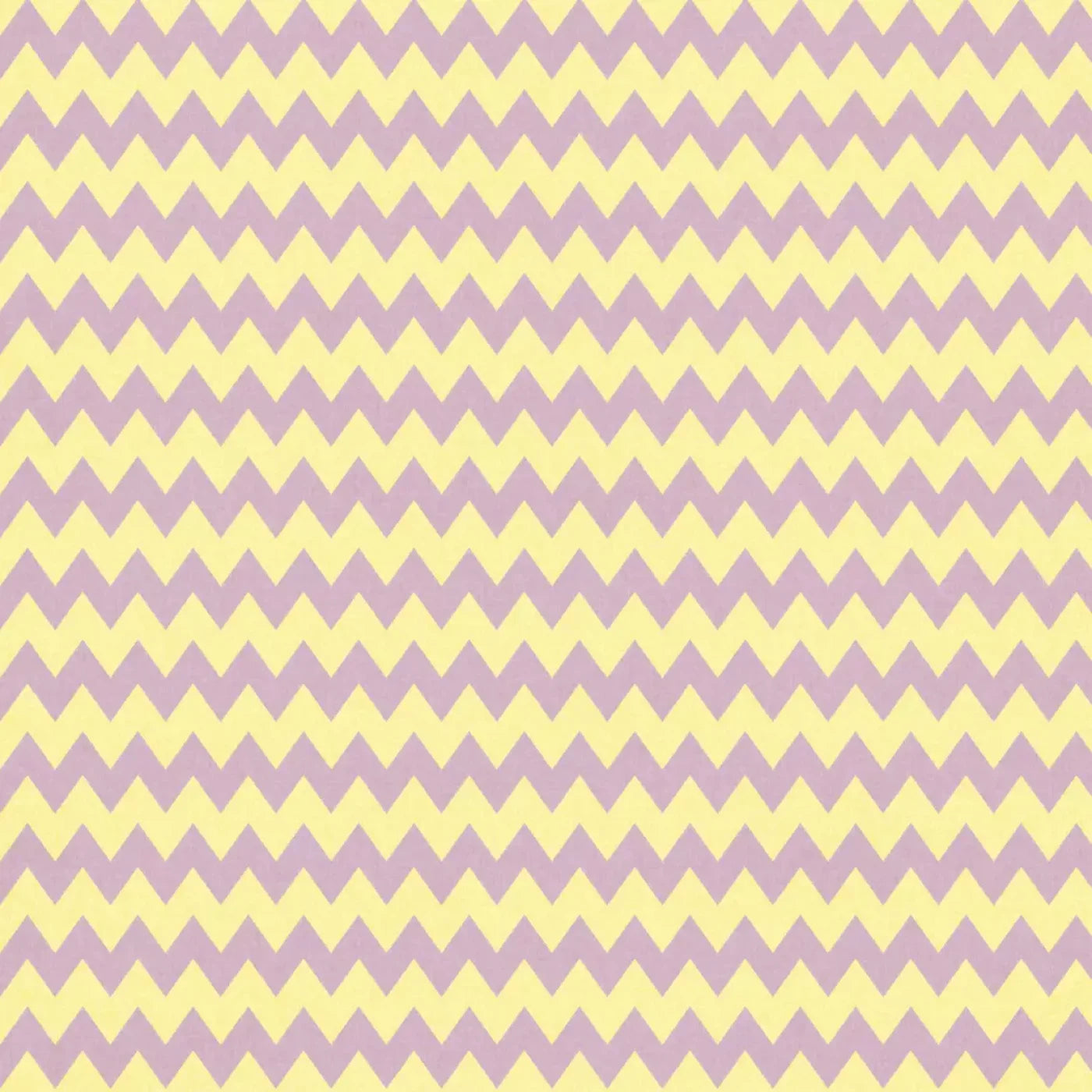 Lauren Backdrop