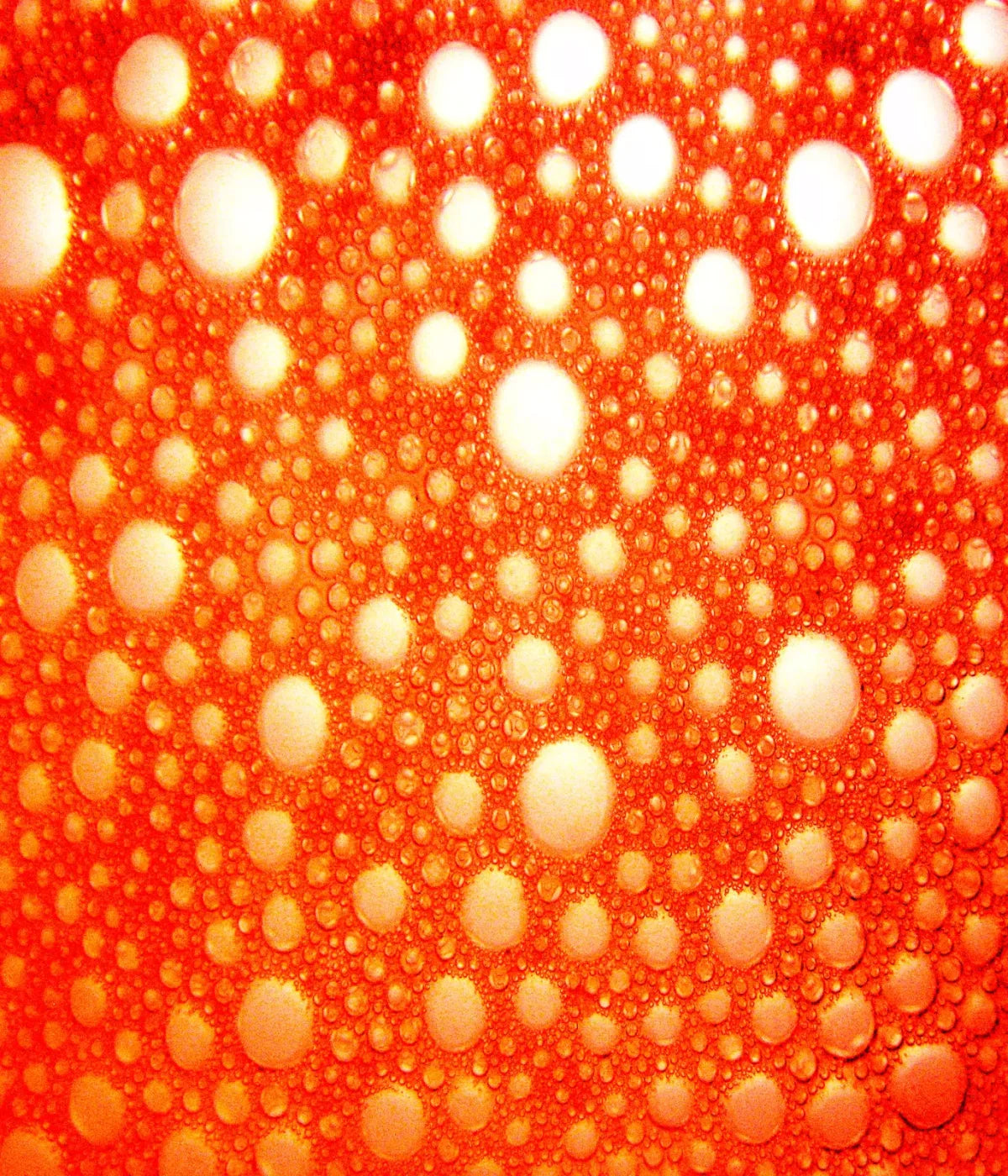 Lava Bubbles 10X12 Ultracloth ( 120 X 144 Inch ) Backdrop