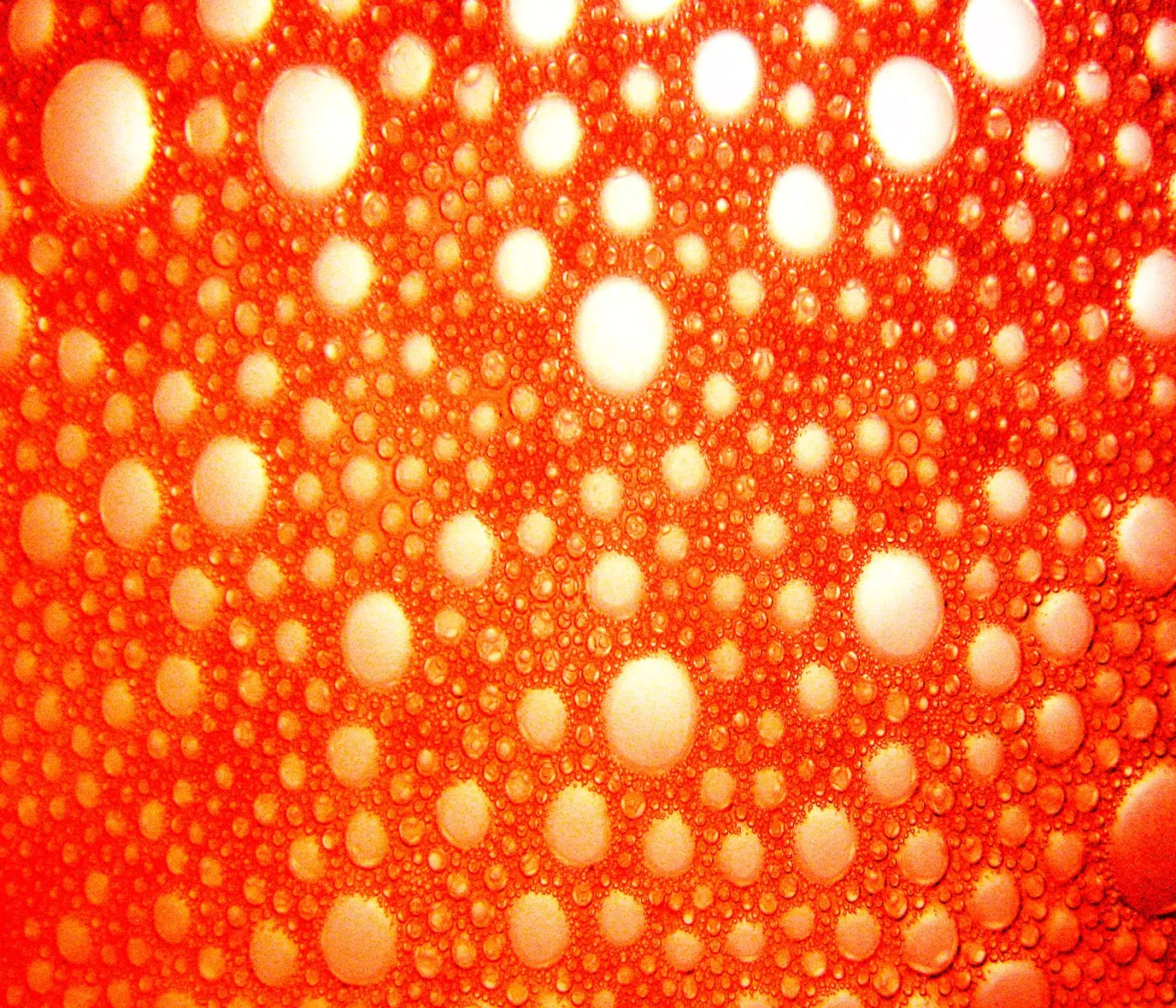 Lava Bubbles 12X10 Ultracloth ( 144 X 120 Inch ) Backdrop