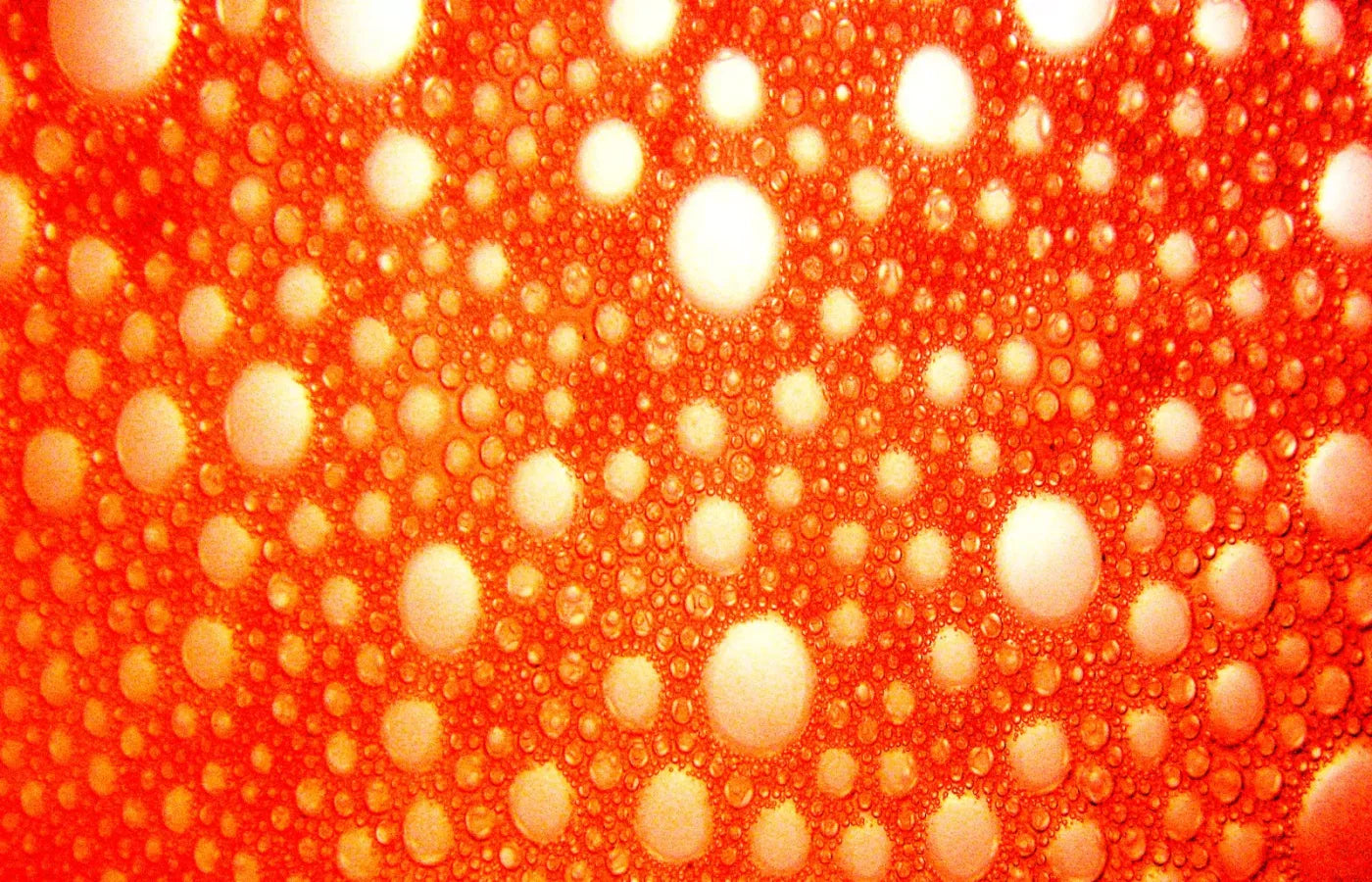 Lava Bubbles 12X8 Ultracloth ( 144 X 96 Inch ) Backdrop