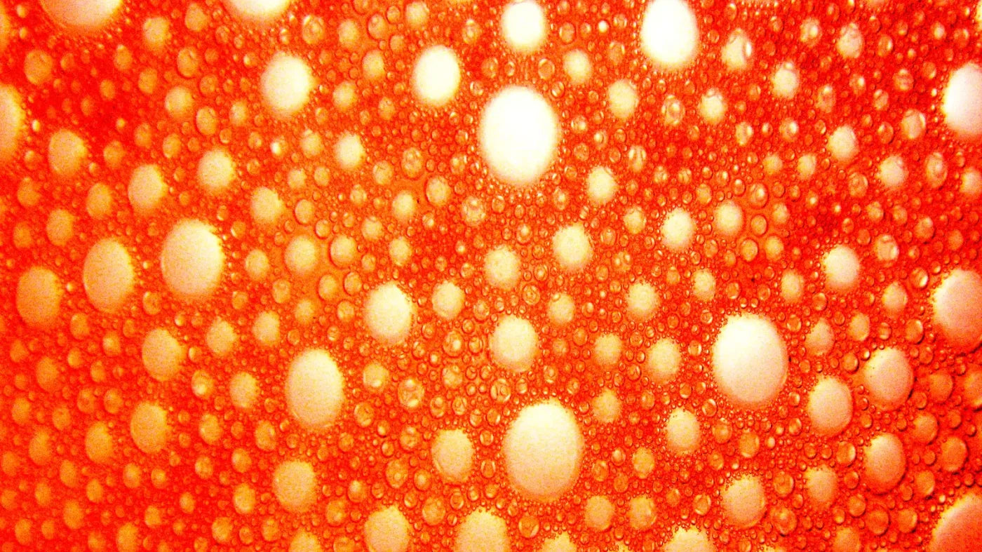 Lava Bubbles 14X8 Ultracloth ( 168 X 96 Inch ) Backdrop