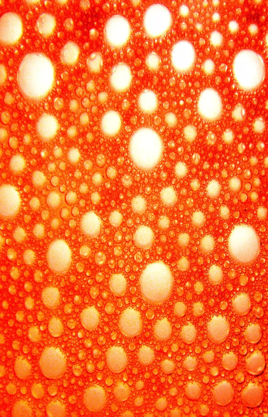 Lava Bubbles 8X12 Ultracloth ( 96 X 144 Inch ) Backdrop