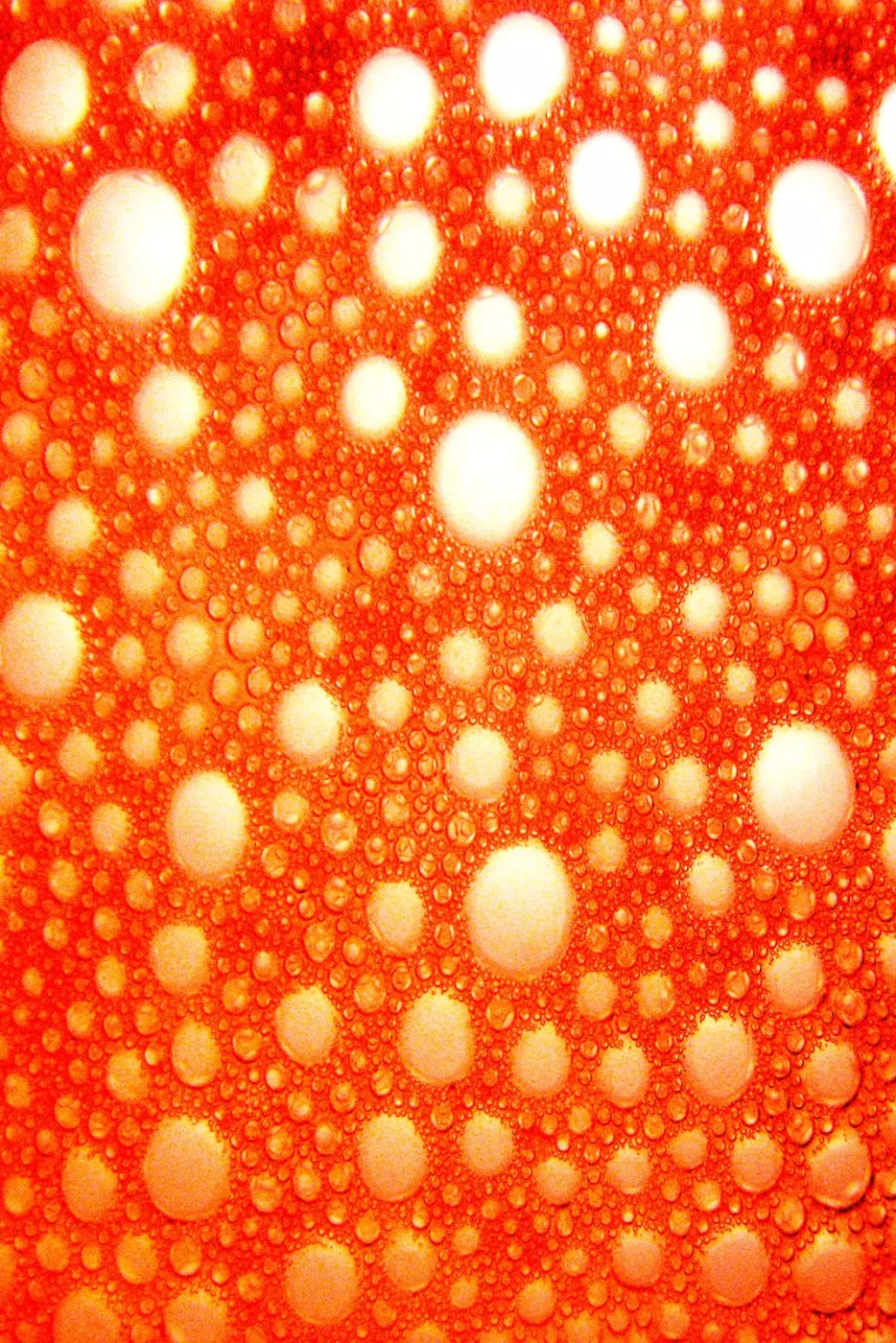 Lava Bubbles Backdrop
