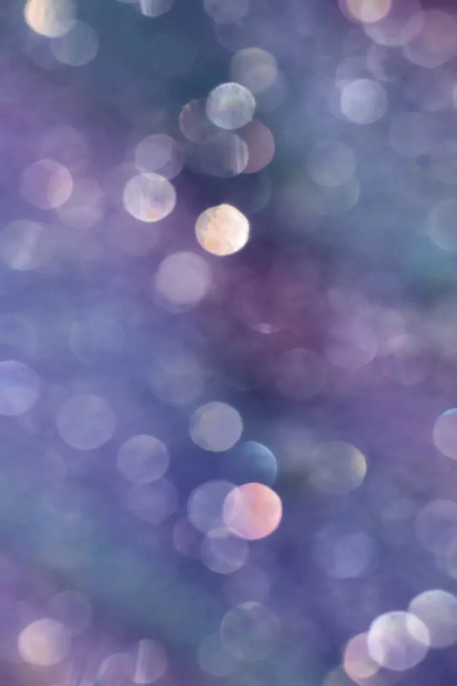 Lavender Dreams Backdrop