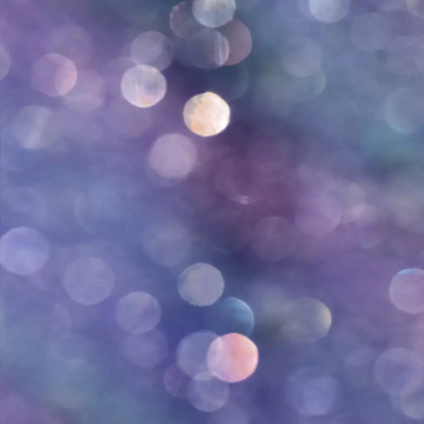 Lavender Dreams Backdrop