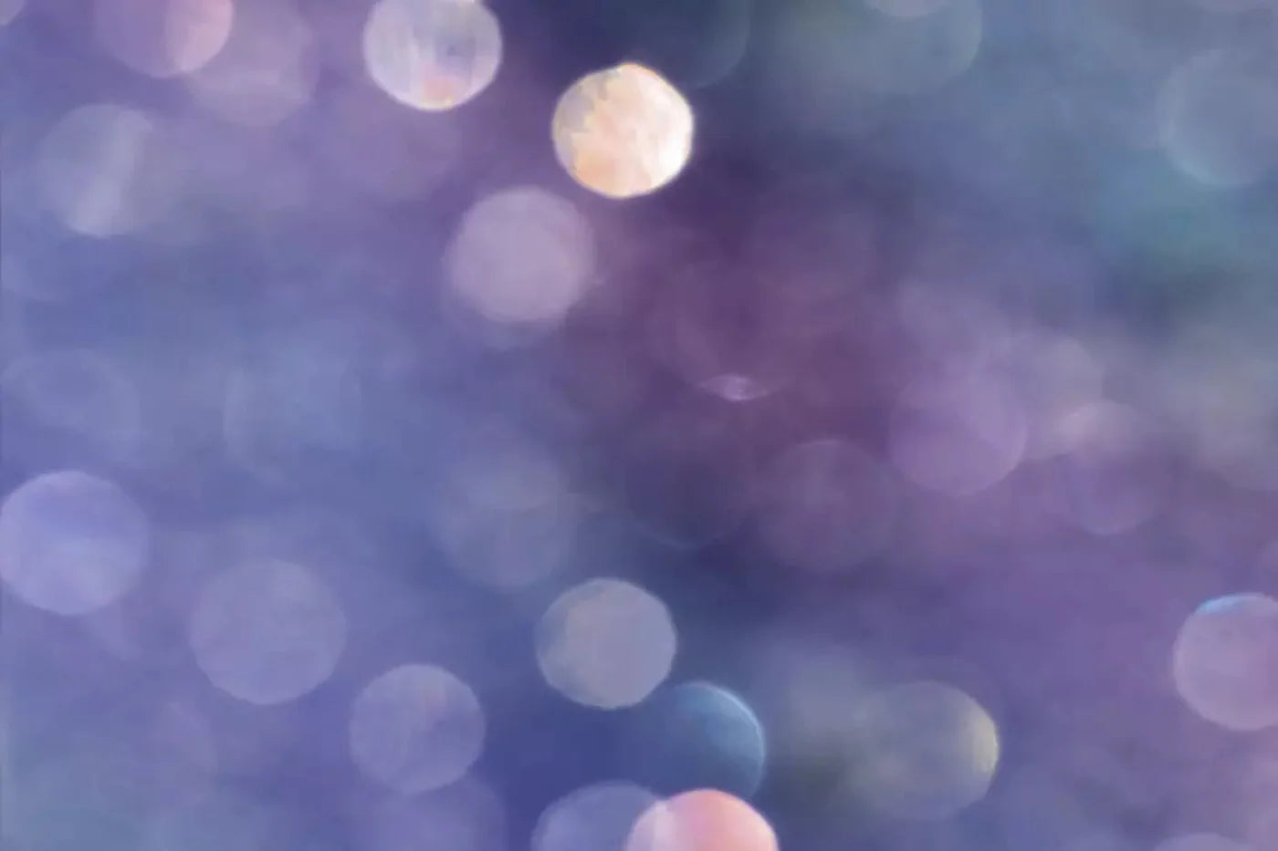 Lavender Dreams Backdrop