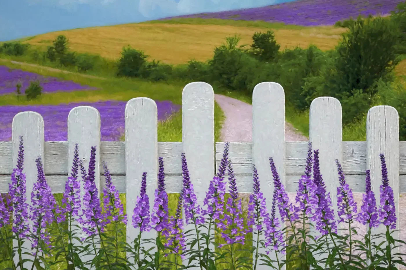Lavender Fields 8X5 Ultracloth ( 96 X 60 Inch ) Backdrop