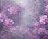 Purple  Backdrop for Photography