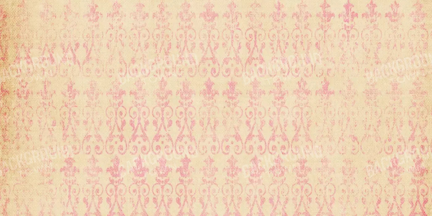 Lea 20X10 Ultracloth ( 240 X 120 Inch ) Backdrop