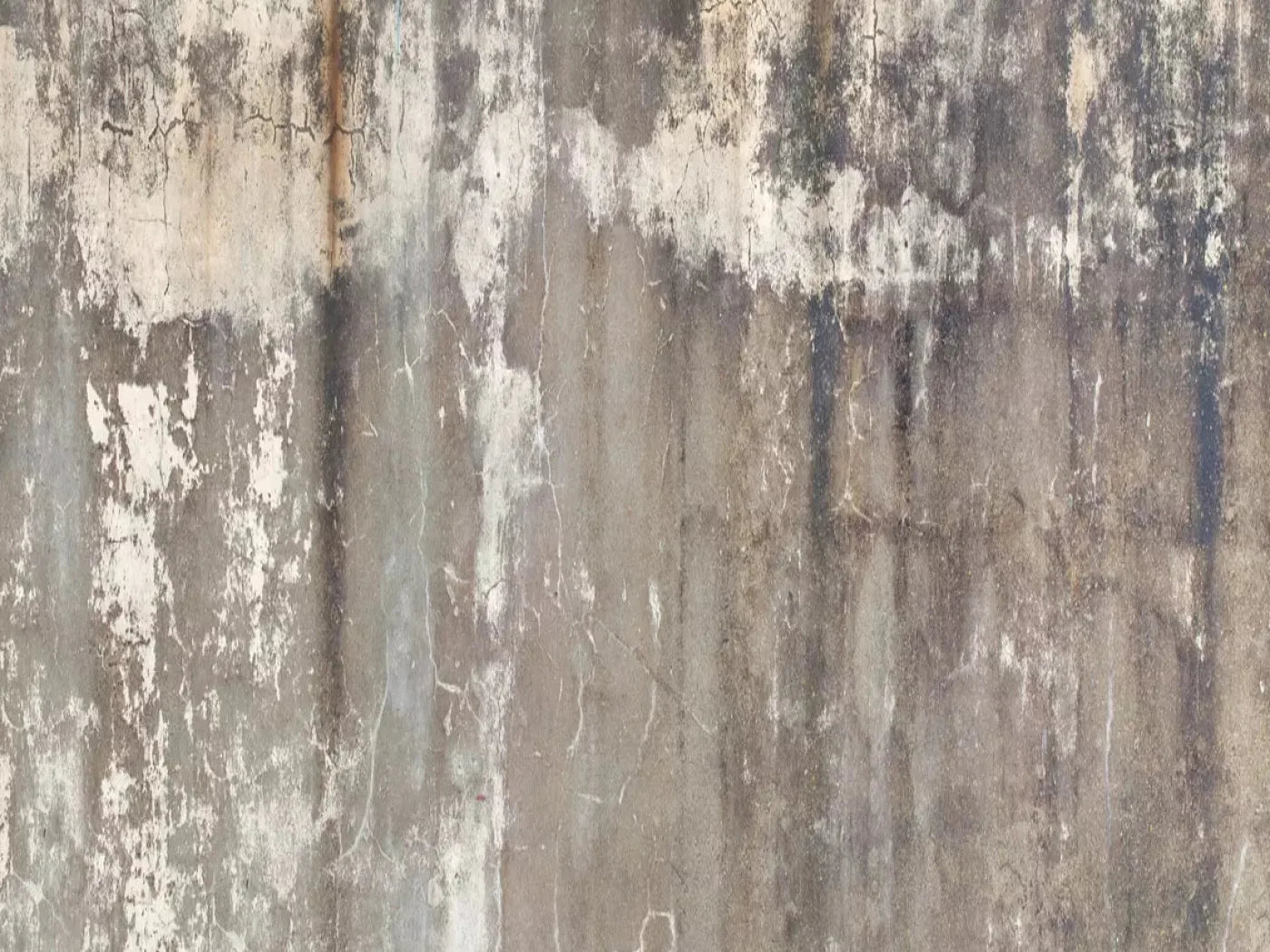 Leak 10X8 Fleece ( 120 X 96 Inch ) Backdrop