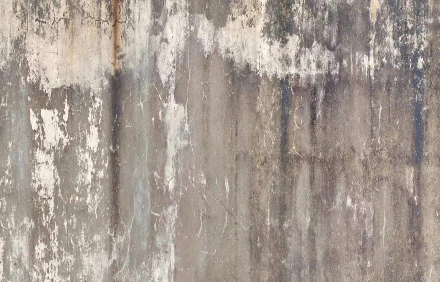 Leak 12X8 Ultracloth ( 144 X 96 Inch ) Backdrop