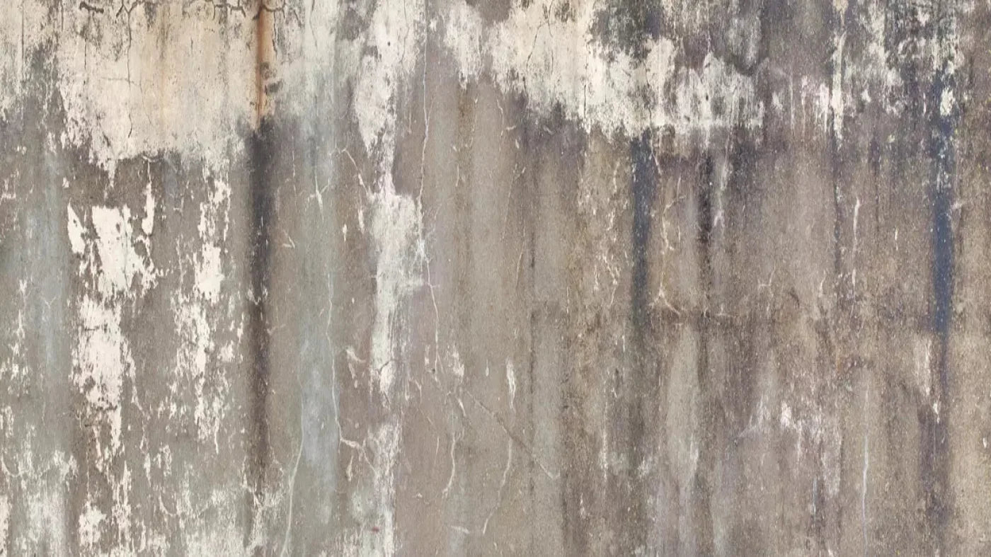 Leak 14X8 Ultracloth ( 168 X 96 Inch ) Backdrop