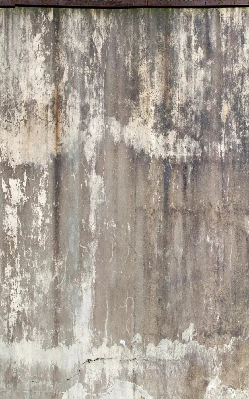 Leak 9X14 Ultracloth ( 108 X 168 Inch ) Backdrop