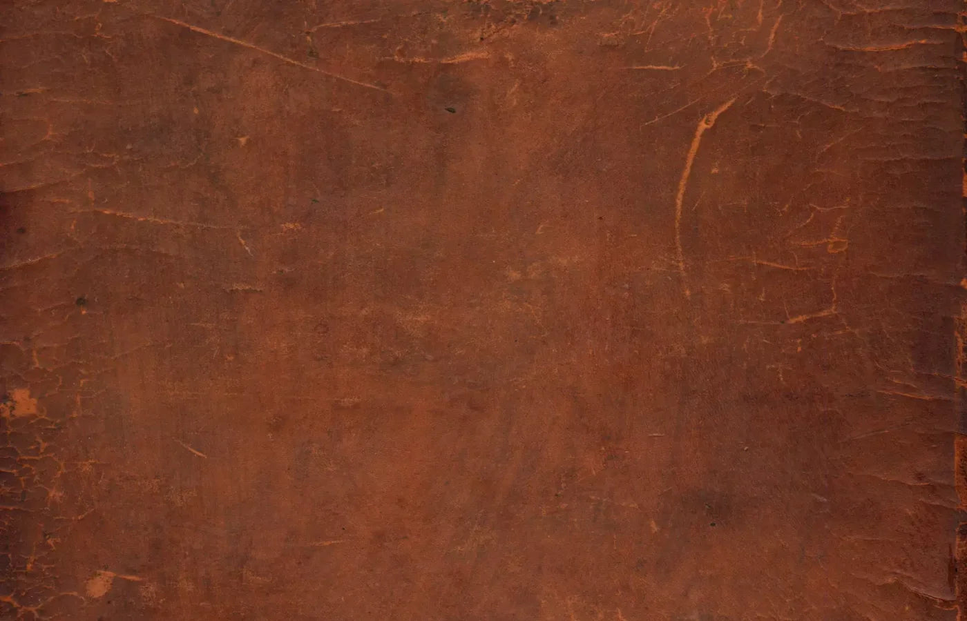 Leather 12X8 Ultracloth ( 144 X 96 Inch ) Backdrop