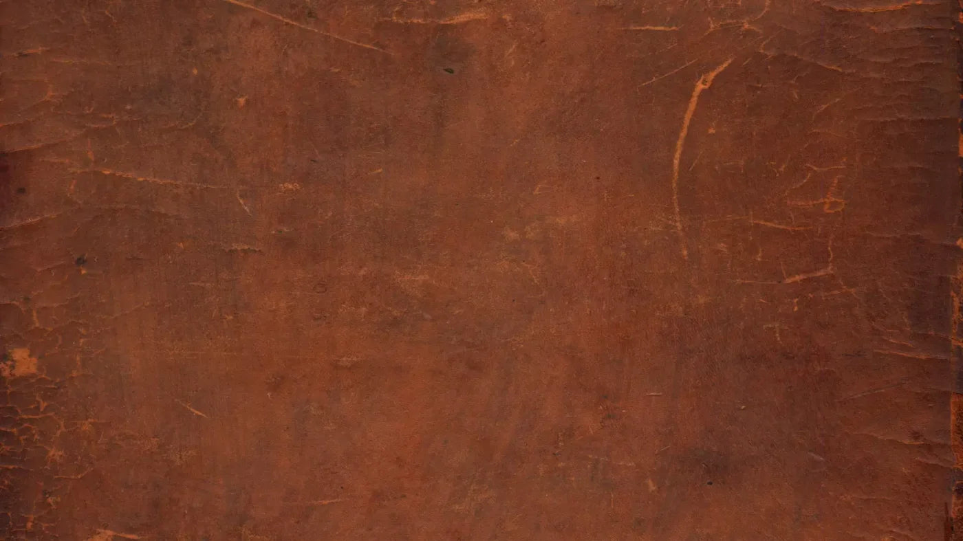 Leather 14X8 Ultracloth ( 168 X 96 Inch ) Backdrop