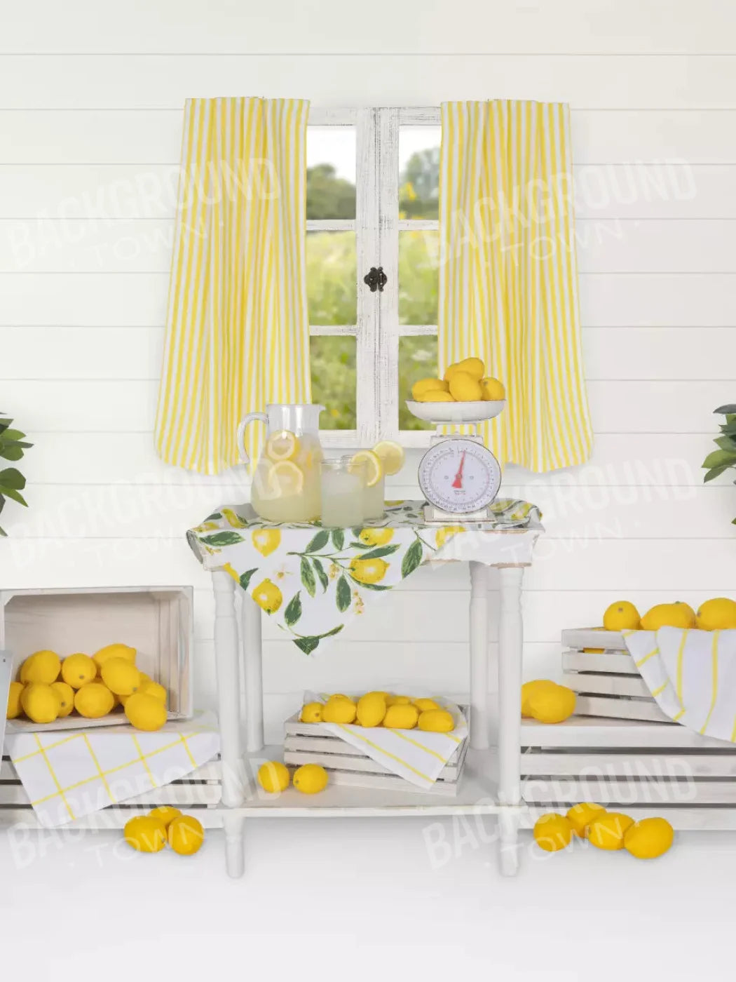 Lemonade Stand 5X68 Fleece ( 60 X 80 Inch ) Backdrop